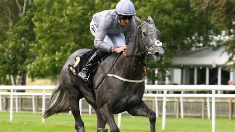1000 guineas betting|1000 Guineas Tips, Runners & Prediction .